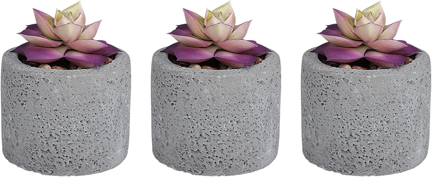 Hopewood Small Succulents Artificial Tiny Plants Faux Succulents in Pots, Small Plants for Shelf Desk Home Decor