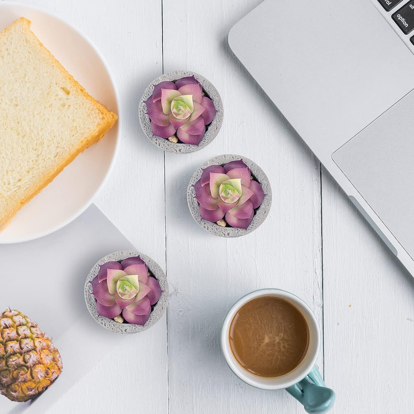 Hopewood Small Succulents Artificial Tiny Plants Faux Succulents in Pots, Small Plants for Shelf Desk Home Decor