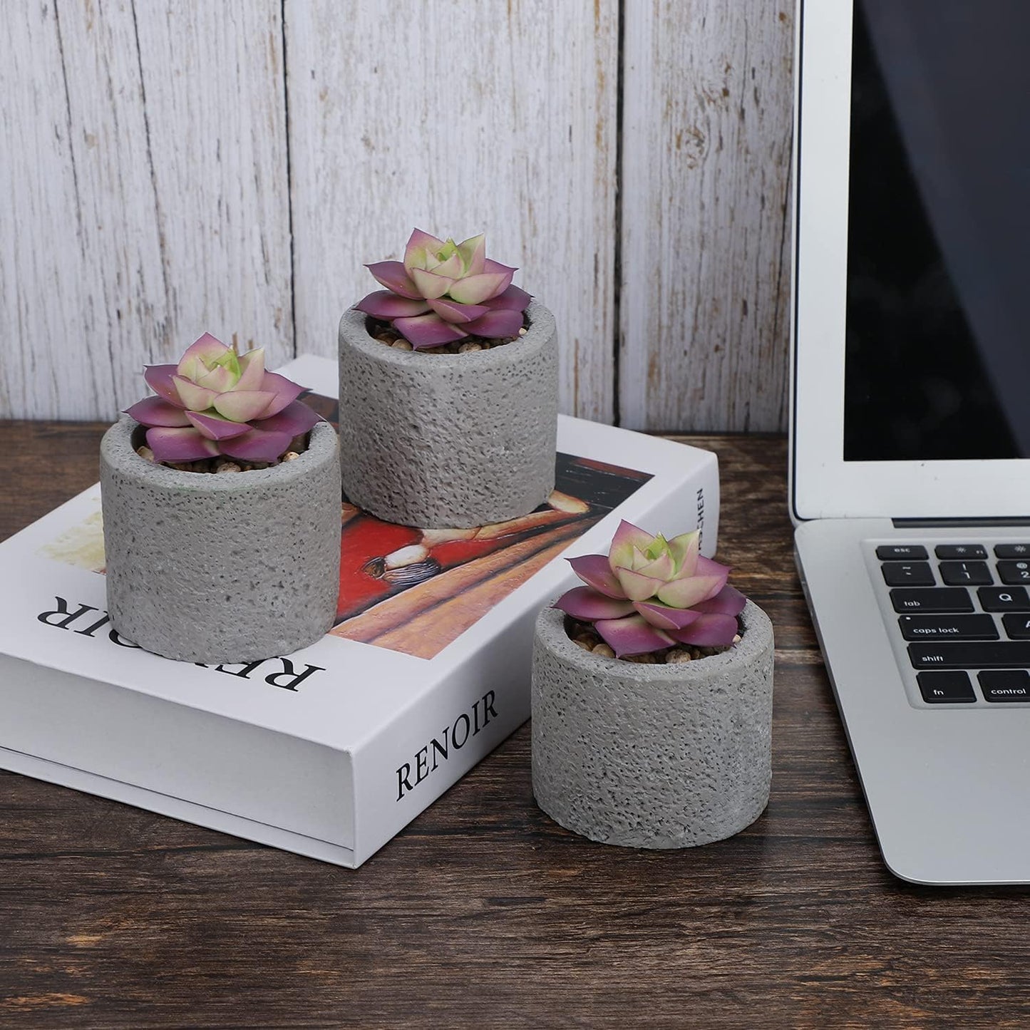 Hopewood Small Succulents Artificial Tiny Plants Faux Succulents in Pots, Small Plants for Shelf Desk Home Decor