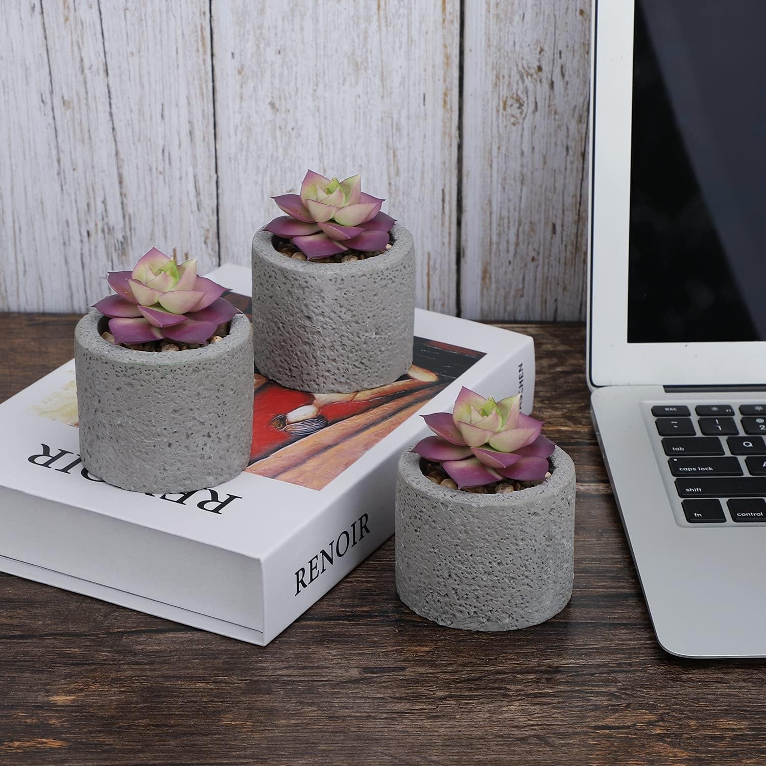 Hopewood Small Succulents Artificial Tiny Plants Faux Succulents in Pots, Small Plants for Shelf Desk Home Decor