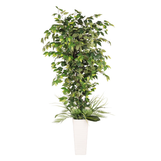 6 Ft. Artificial Ficus Microcarpa Tree