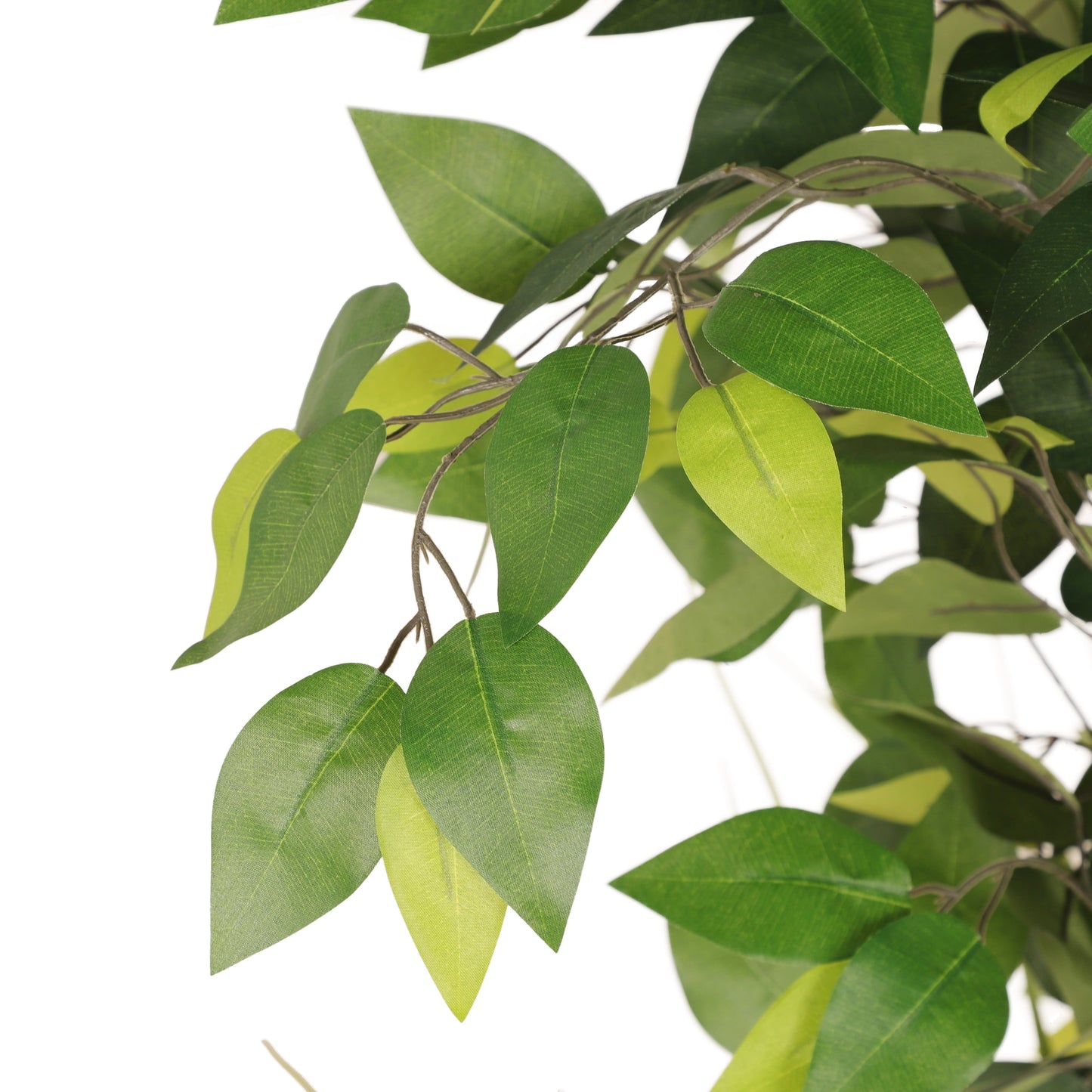 6 Ft. Artificial Ficus Microcarpa Tree