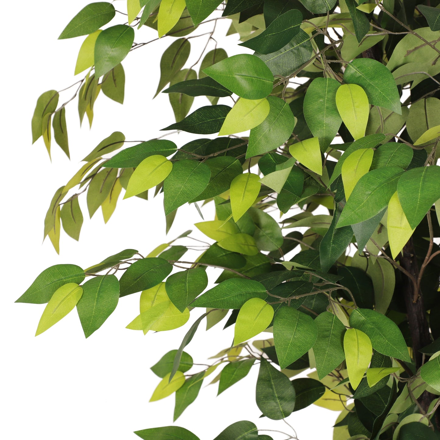 6 Ft. Artificial Ficus Microcarpa Tree